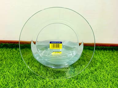 Medium deep Plates (6pcs) Imported Tempered glass mini img 1