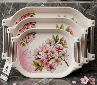 Tray Set (Steel Handle) mini img 1