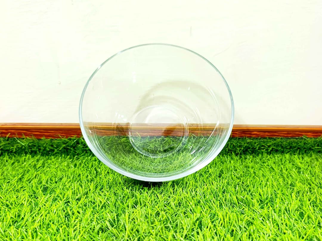 Glass Bowl Large (1pcs) Tempered img 2
