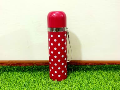 Water Bottle stainless steel 3 mini img 2