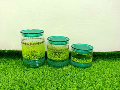 Airtight Jar Set Printed Green mini img 1